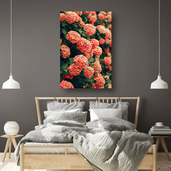 Bloeiende Roze Hortensia in Volle Glorie canvas met baklijst