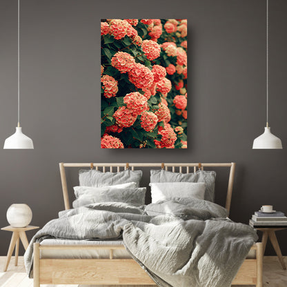 Bloeiende Roze Hortensia in Volle Glorie canvas met baklijst