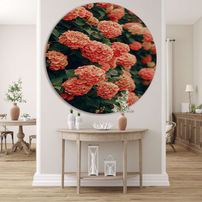Bloeiende Roze Hortensia in Volle Glorie aluminium muurcirkel