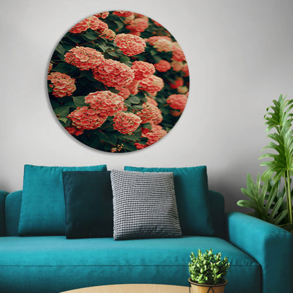 Bloeiende Roze Hortensia in Volle Glorie forex muurcirkel