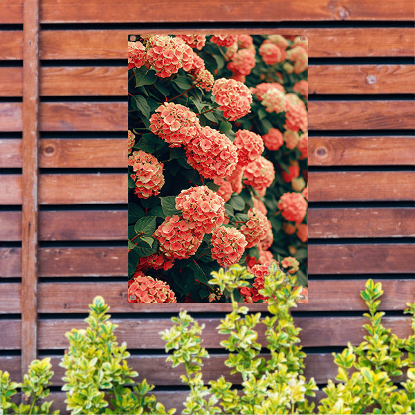 Bloeiende Roze Hortensia in Volle Glorie tuinposter