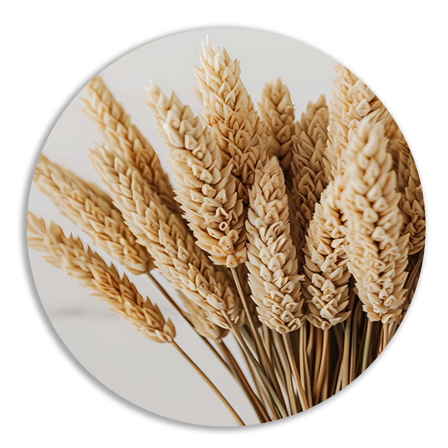 Close-up van gedroogde tarwehalmen forex muurcirkel