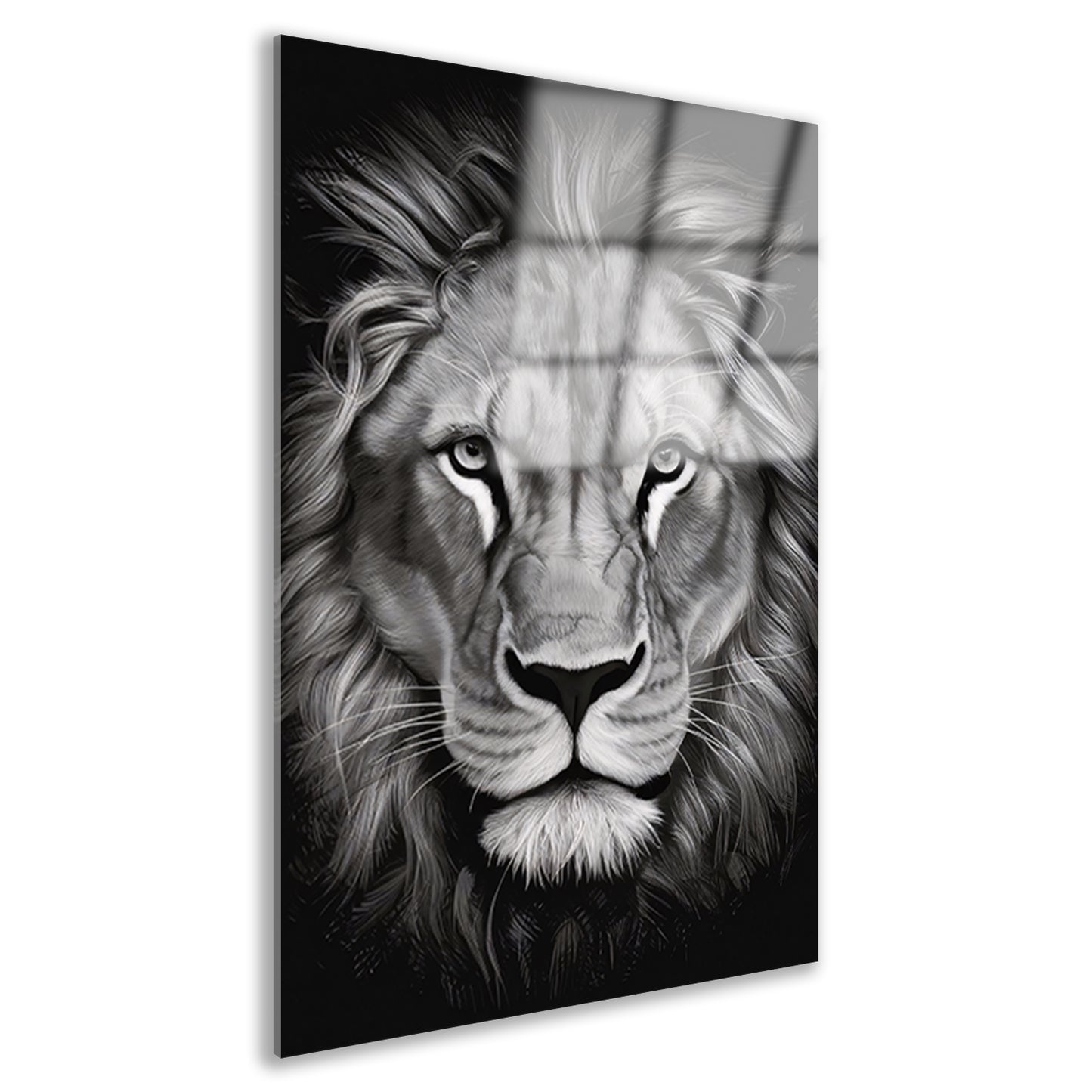 De Monochrome Blik van de Majestueuze Leeuw acrylglas