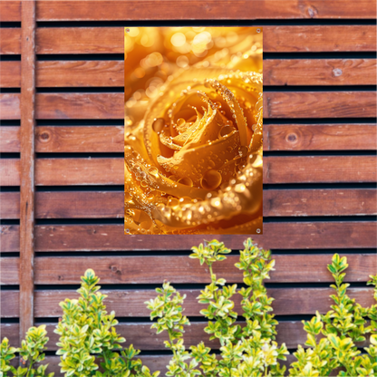 Gouden Roos Versierd met Fonkelende Waterdruppels tuinposter