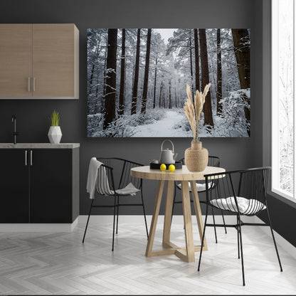 Prachtig winters boslandschap met sneeuw poster