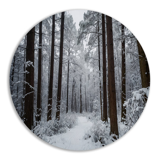 Prachtig winters boslandschap met sneeuw forex muurcirkel