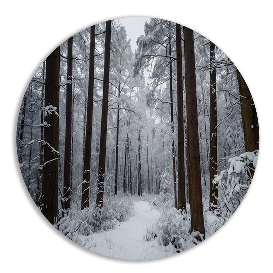 Prachtig winters boslandschap met sneeuw forex muurcirkel