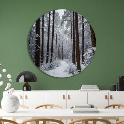Prachtig winters boslandschap met sneeuw forex muurcirkel