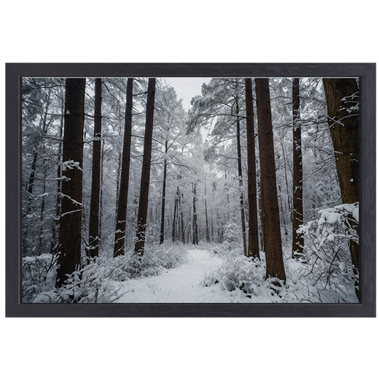 Prachtig winters boslandschap met sneeuw canvas met baklijst