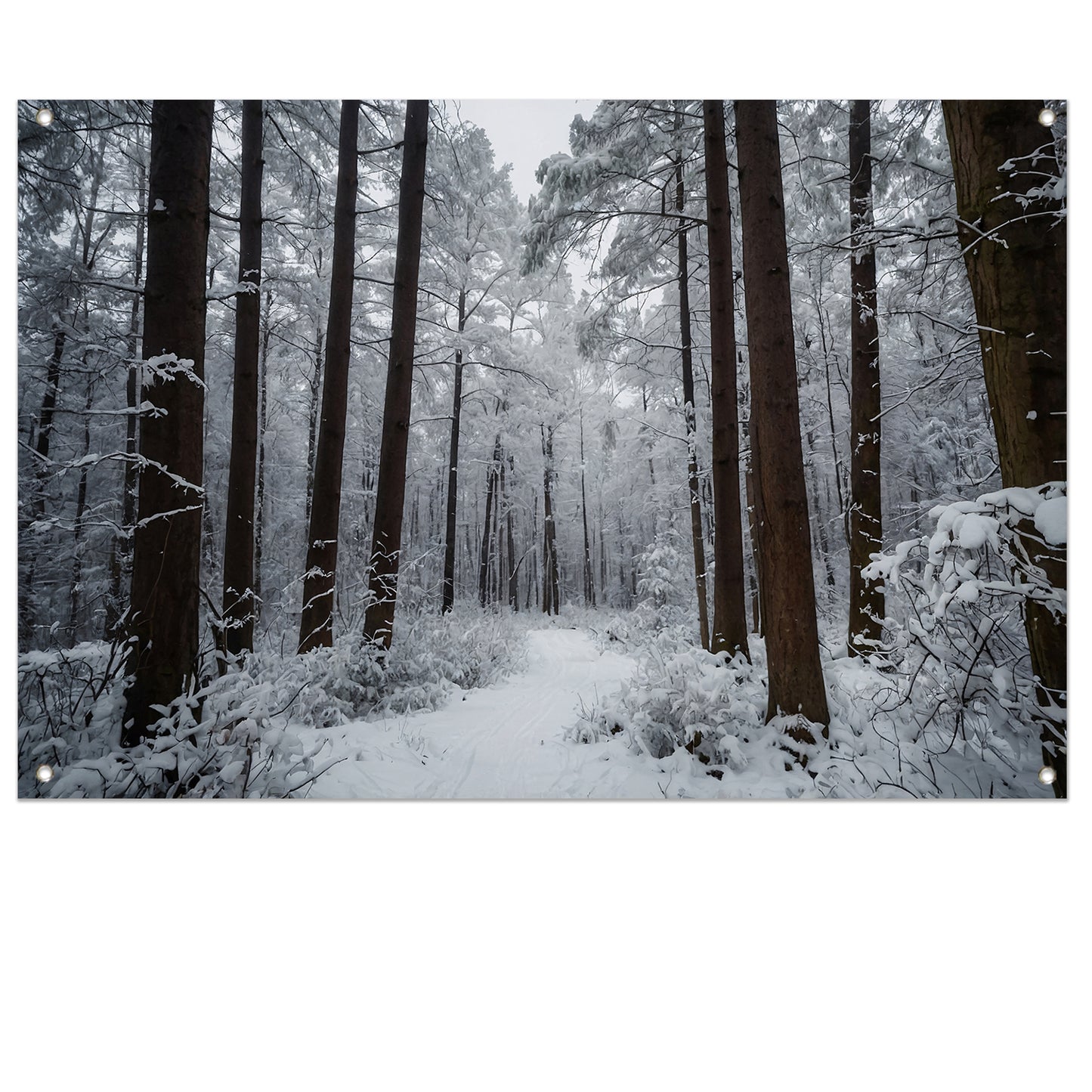 Prachtig winters boslandschap met sneeuw tuinposter