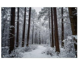 Bomen en bossen tuinposters