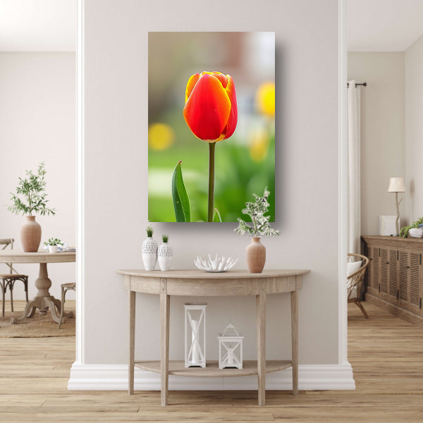 Kleurrijke tulp in volle bloei schilderij poster