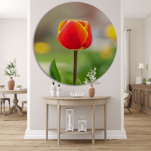 Kleurrijke tulp in volle bloei schilderij aluminium muurcirkel
