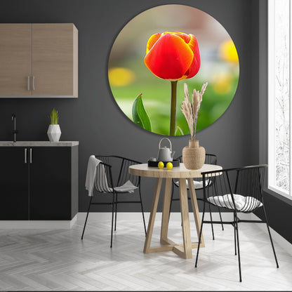 Kleurrijke tulp in volle bloei schilderij aluminium muurcirkel