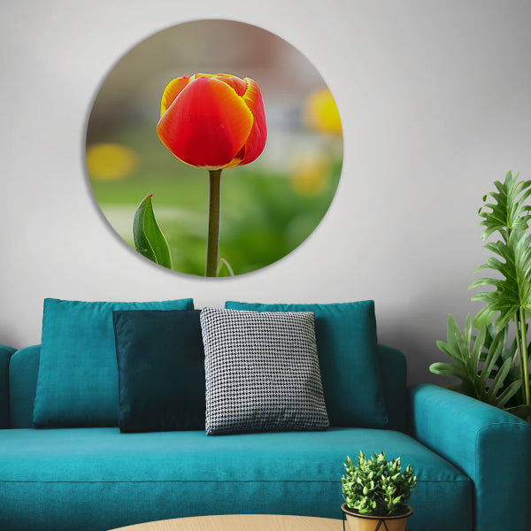 Kleurrijke tulp in volle bloei schilderij aluminium muurcirkel