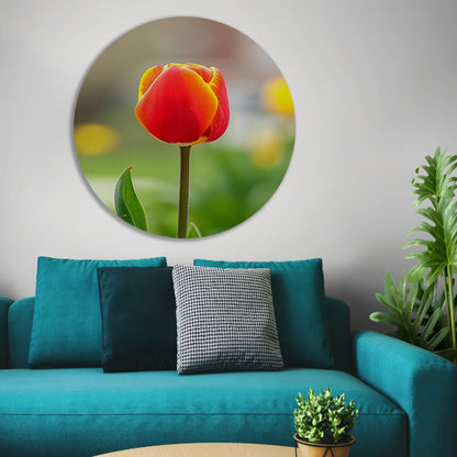 Kleurrijke tulp in volle bloei schilderij aluminium muurcirkel