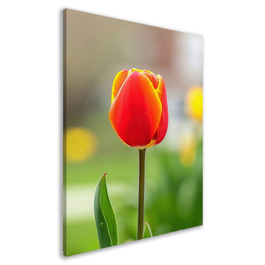 Kleurrijke tulp in volle bloei schilderij canvas