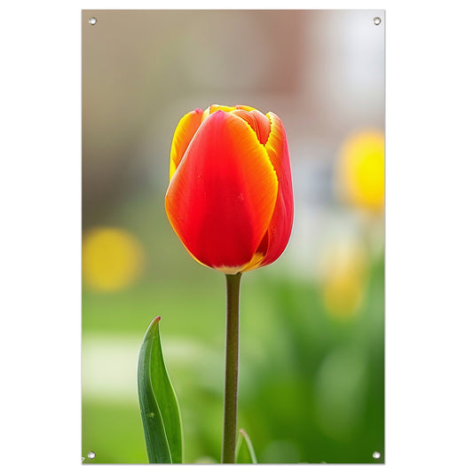 Kleurrijke tulp in volle bloei schilderij tuinposter