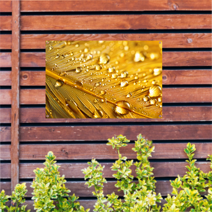 Uitgebreide titel met minimaal vier woorden tuinposter