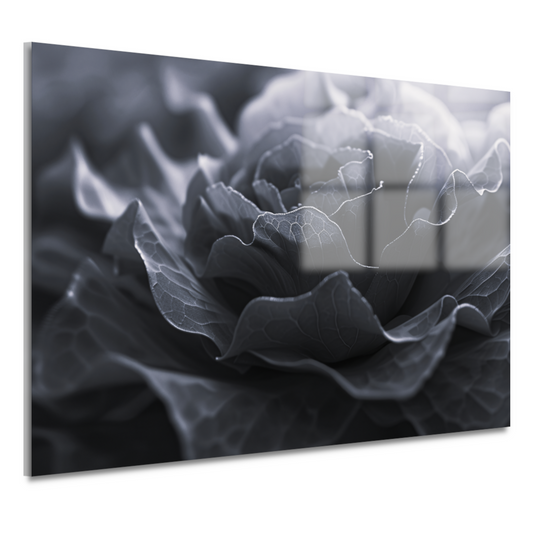 Monochrome close-up van een bloem in detail acrylglas