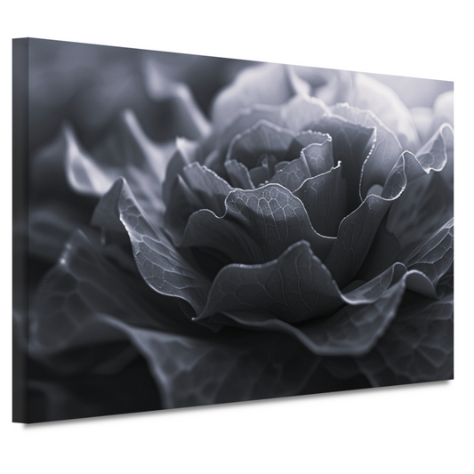 Monochrome close-up van een bloem in detail canvas