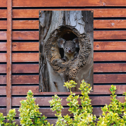 Jonge Koala Verkent de Wereld vanuit Boomholte tuinposter