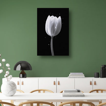Minimalistische witte tulp met waterdruppels acrylglas