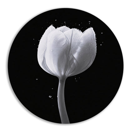 Minimalistische witte tulp met waterdruppels forex muurcirkel