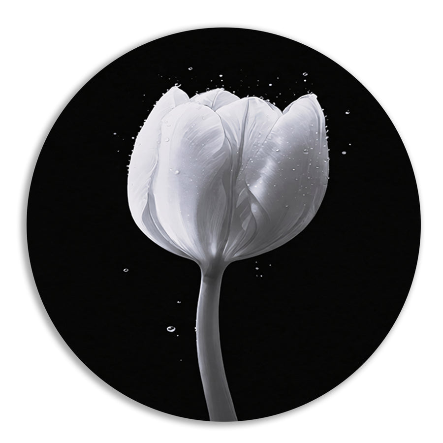 Minimalistische witte tulp met waterdruppels aluminium muurcirkel