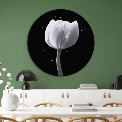 Minimalistische witte tulp met waterdruppels forex muurcirkel