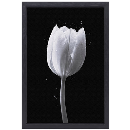 Minimalistische witte tulp met waterdruppels canvas met baklijst