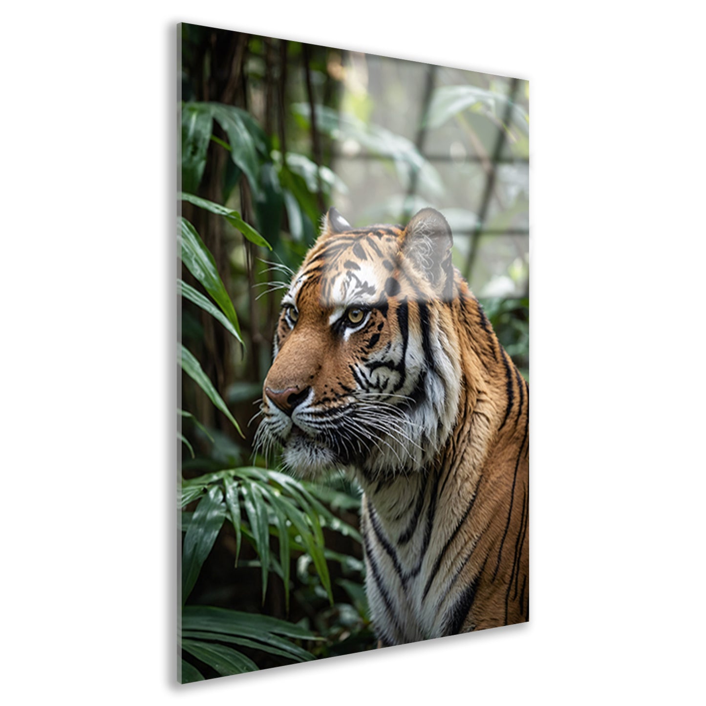 Majestueuze tijger in weelderige jungle acrylglas