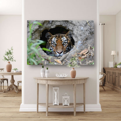 Tijger Loert vanuit Schuilplaats in Natuur canvas