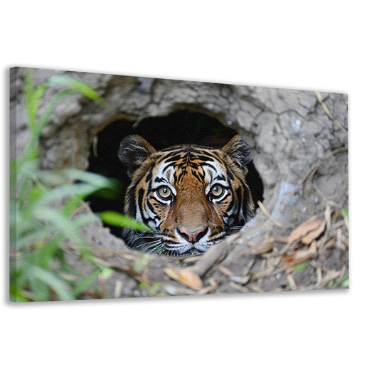 Tijger Loert vanuit Schuilplaats in Natuur canvas