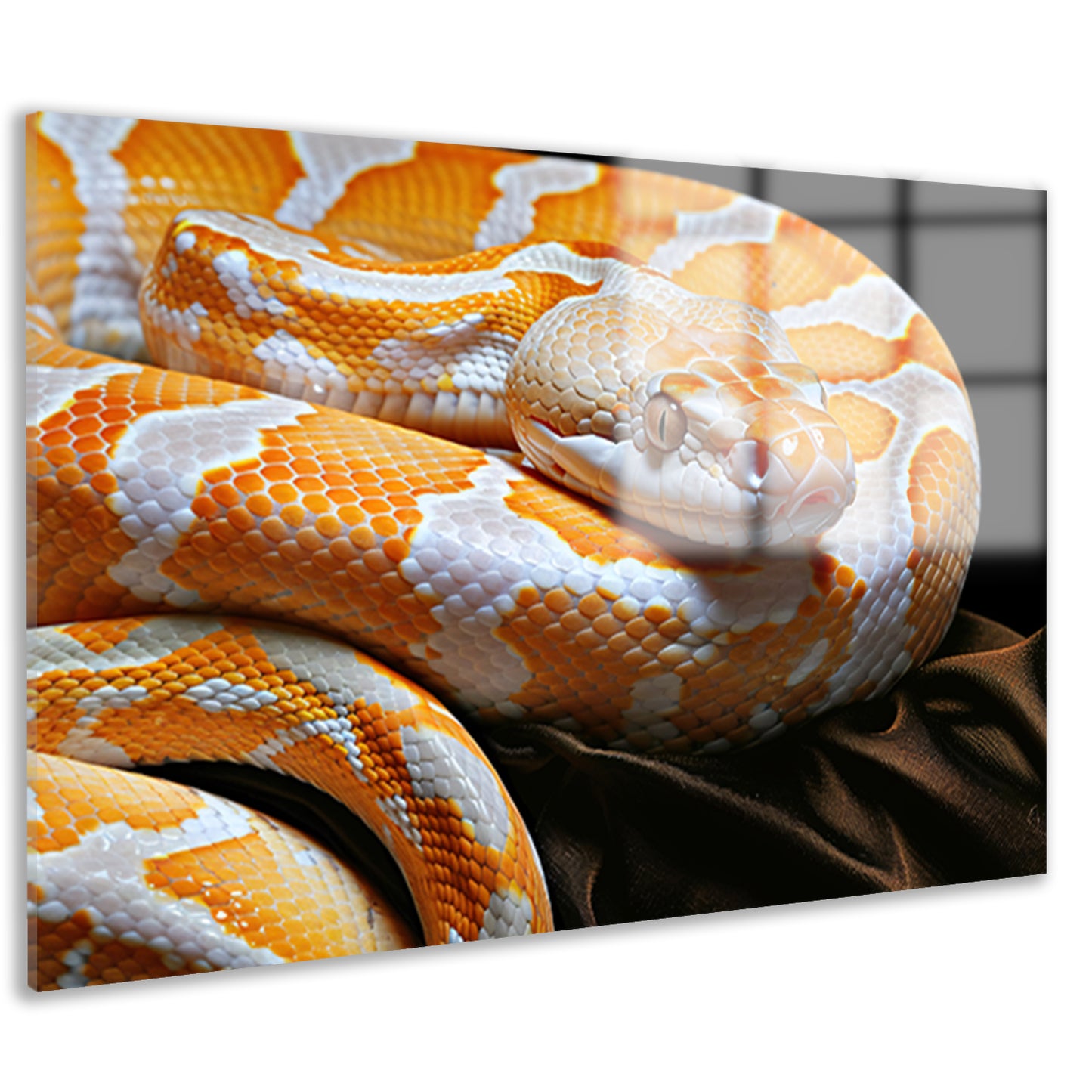 Slang in zonlicht acrylglas