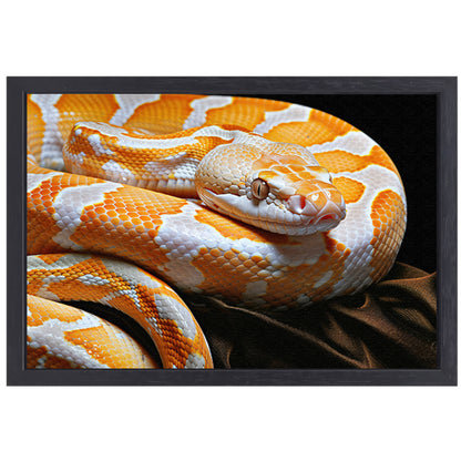 Slang in zonlicht canvas met baklijst