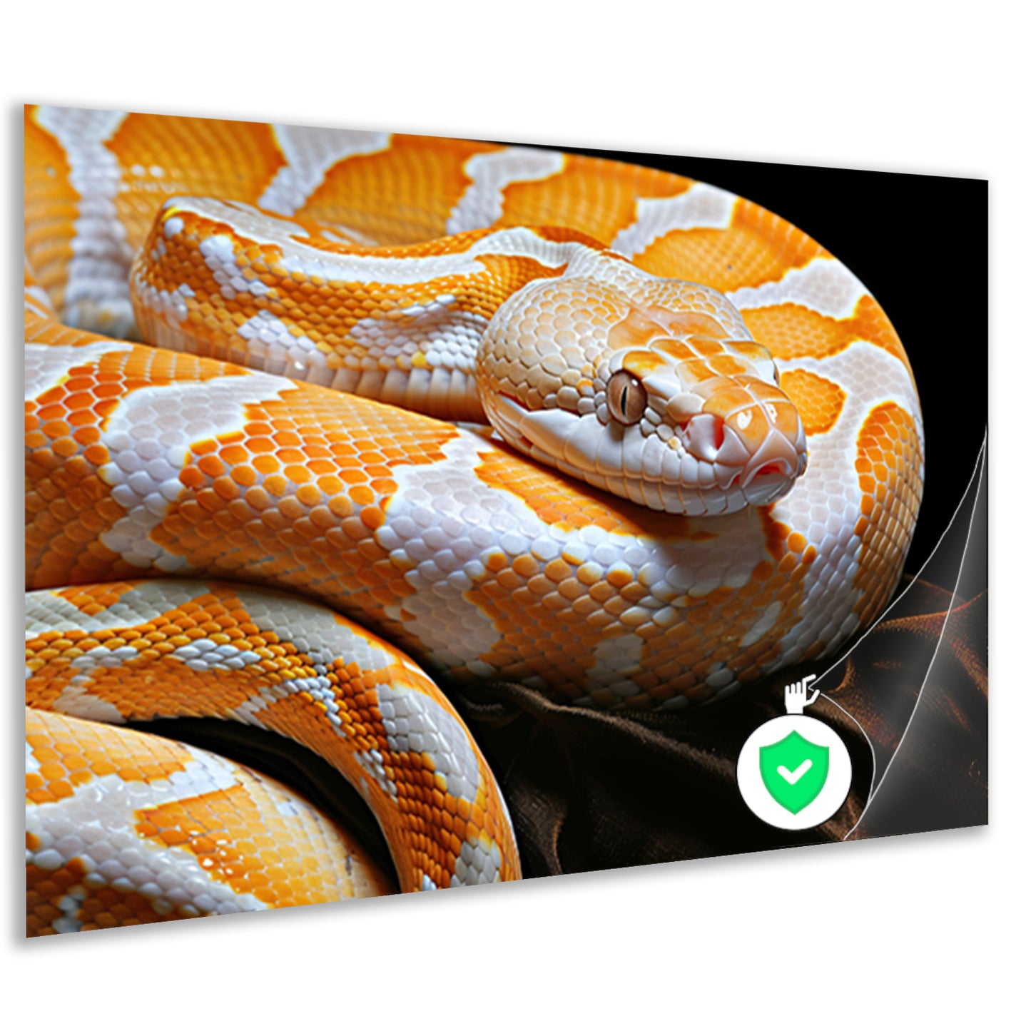 Slang in zonlicht poster