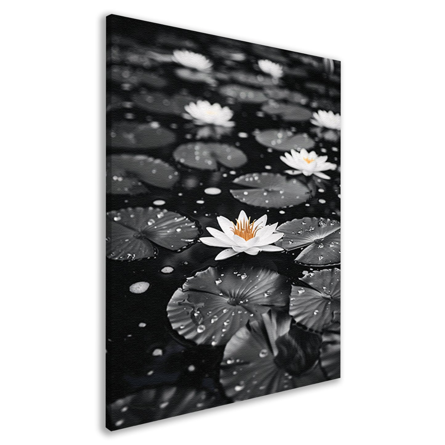 Zwart-wit foto van waterlelies op water canvas