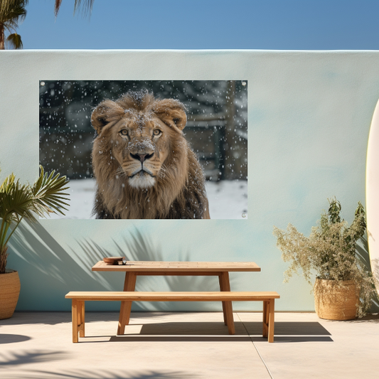 Majestueuze Leeuw in Sneeuwbedekte Wildernis tuinposter