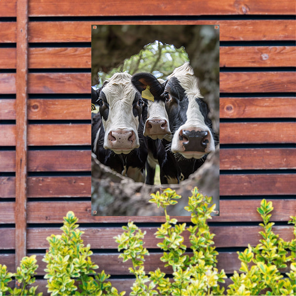 Twee nieuwsgierige koeien gluren door boom tuinposter