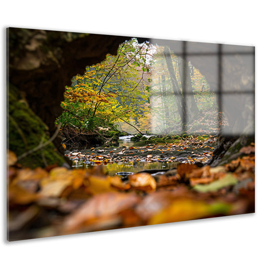 Herfstlandschap met rivier en bomen acrylglas