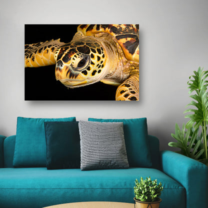 Zeeschildpad zwemt in oceaan acrylglas