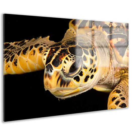 Zeeschildpad zwemt in oceaan acrylglas