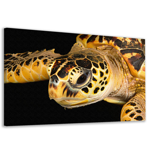 Zeeschildpad zwemt in oceaan canvas