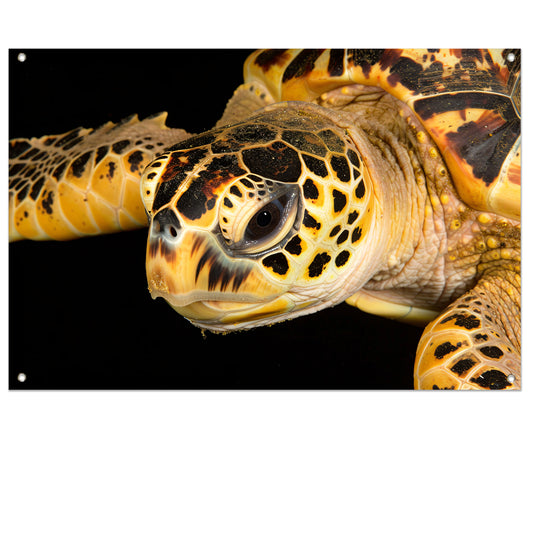 Zeeschildpad zwemt in oceaan tuinposter