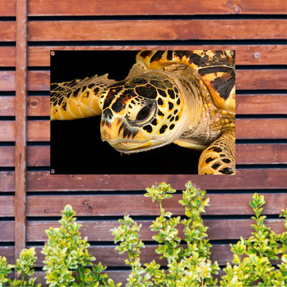 Zeeschildpad zwemt in oceaan tuinposter