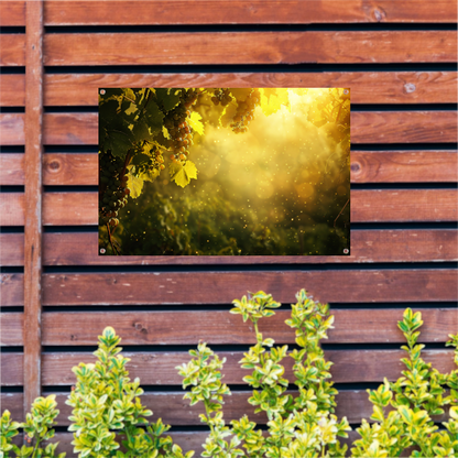Gouden lichtval over wijngaard bij zonsondergang tuinposter