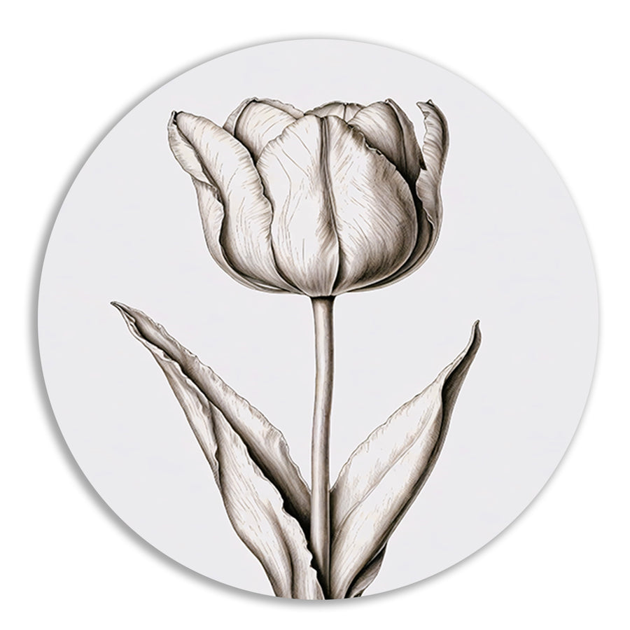 Elegante tulp in zwart-wit lijnen aluminium muurcirkel