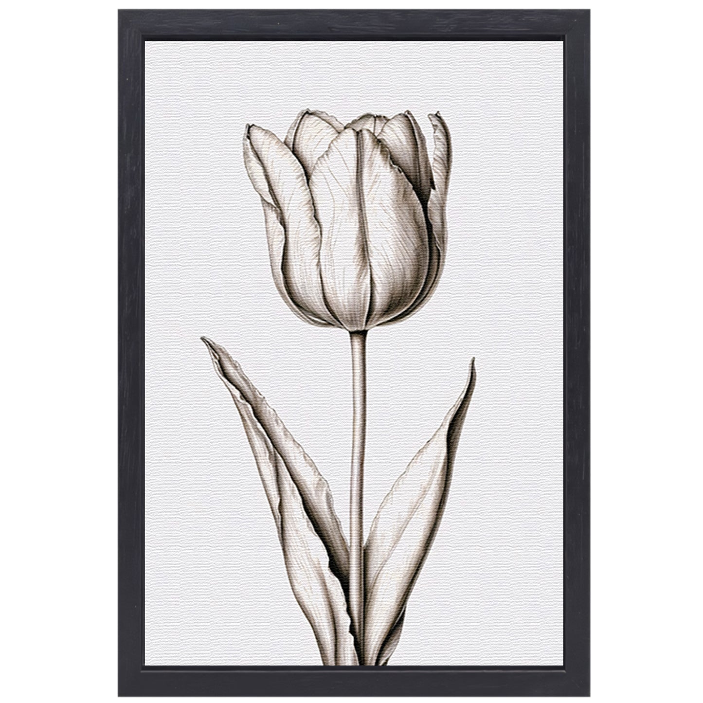 Elegante tulp in zwart-wit lijnen canvas met baklijst