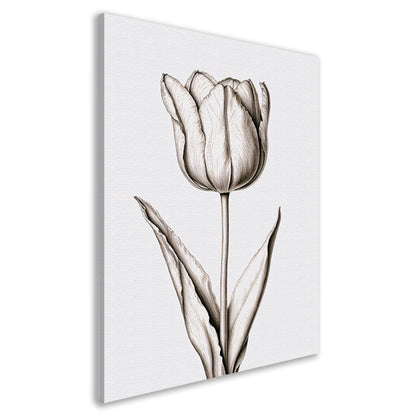 Elegante tulp in zwart-wit lijnen canvas